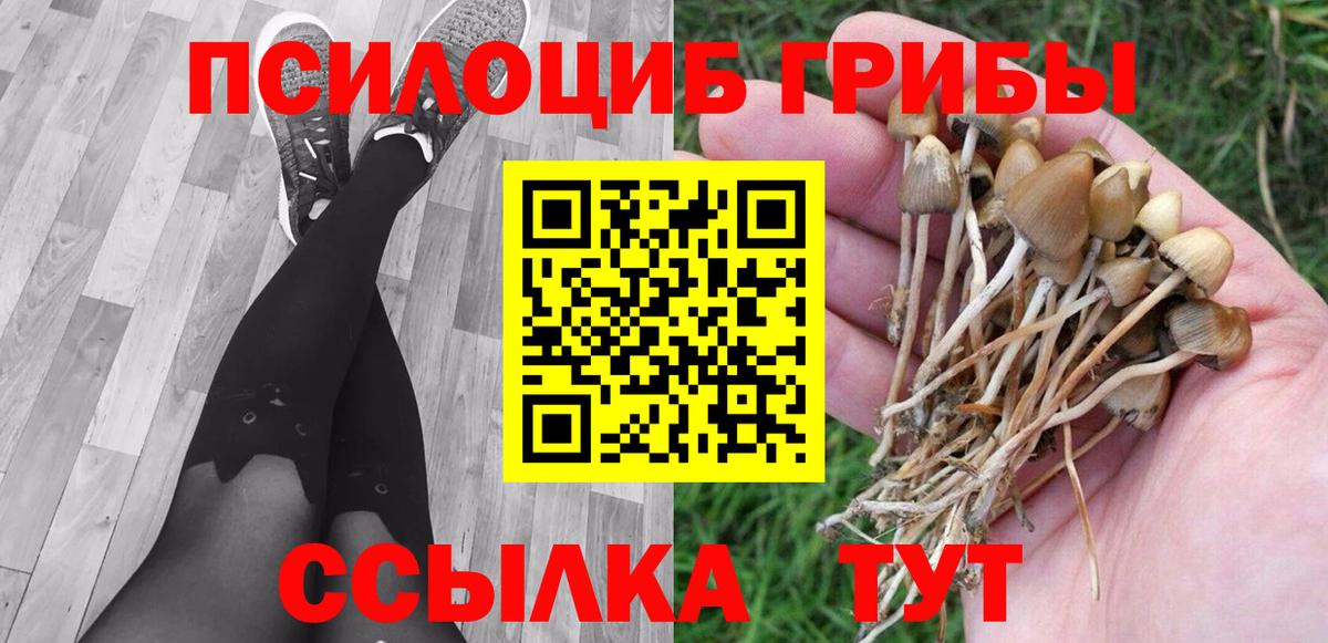 Красноярск  Псилоцибиновые грибы MAGIC MUSHROOMS  Псилоцибиновые грибы GOLDEN TEACHER  Вход с VPN 
