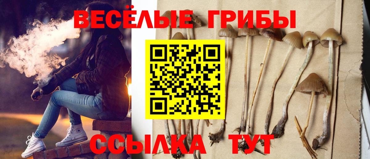 Псилоцибиновые грибы мицелий Красноярск